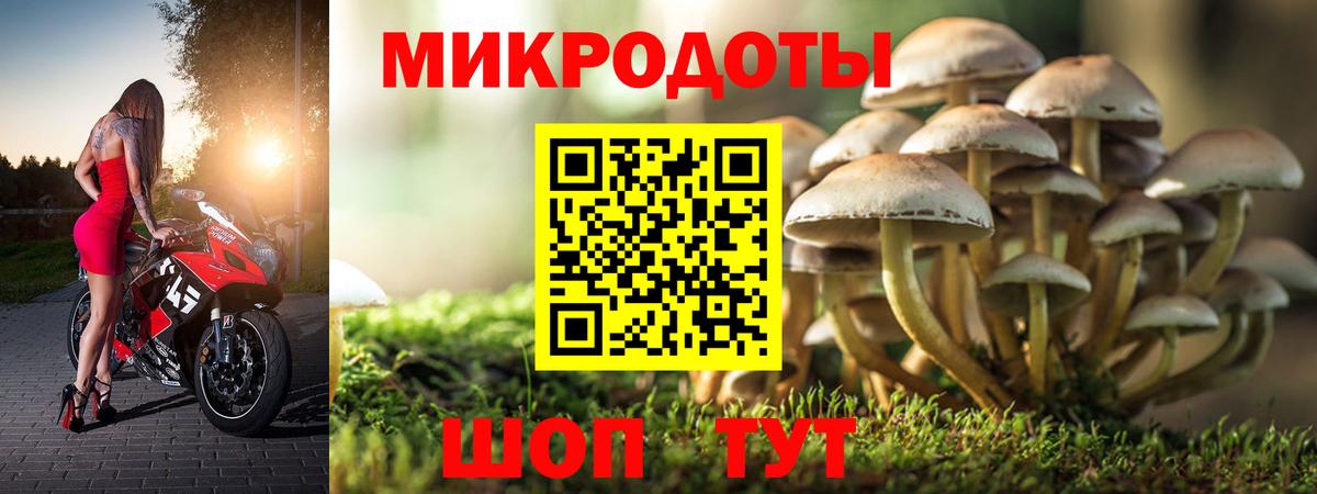 Галлюциногенные грибы GOLDEN TEACHER Лениногорск