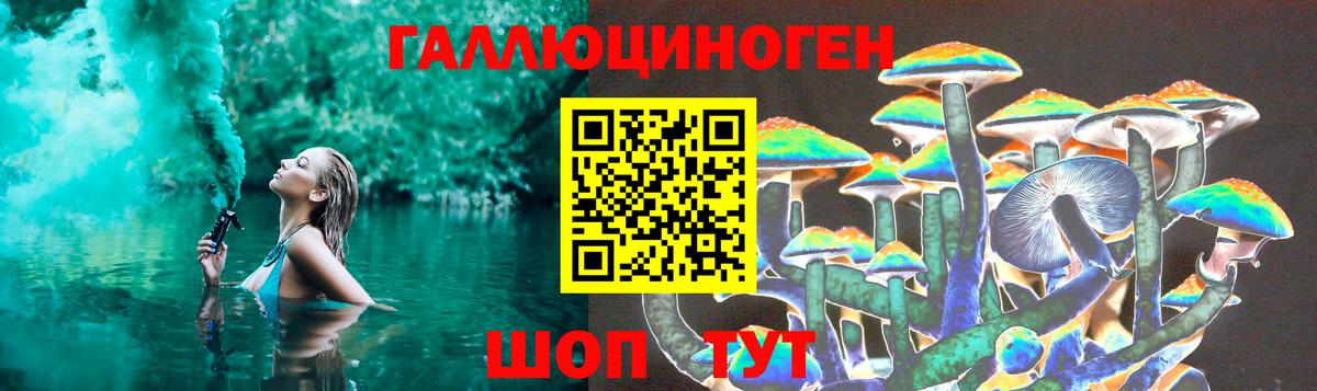 Лениногорск  Псилоцибиновые грибы MAGIC MUSHROOMS  сколько стоит  Вход с VPN  Псилоцибиновые грибы Cubensis 